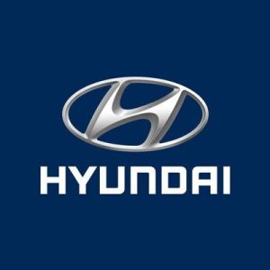 The Hyundai Motors IPO opens next week on the 15th October